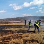 Знову горить заплава Ірпінь-річки (+ фото)