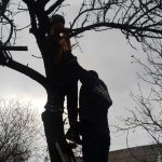 Рятувальники зняли з дерева чоловіка, який самостійно не зміг спуститися на землю (відео)