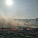 Високий рівень пожежної небезпеки: у зоні ризику – Київ, Чорнобиль, Бориспіль, Баришівка, Миронівка