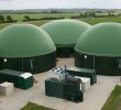 У біогазовій установці за 3,2 млн євро селяни спалюватимуть залишки відходів городини