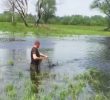 У браконьєрській сітці спіймалася… черепаха