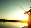 Розпочато рибальський сезон: яких розмірів рибу можна ловити, а яку слід відпускати