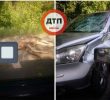 Під колесами «Хонди» загинув лось