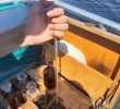 Погіршала якість води у Київському водосховищі: зросли показники марганцю, заліза й фосфатів  (+ фото)