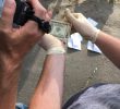 На хабарі $5000 затримано слідчого прокуратури Київщини разом з посередником (+ фото)