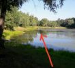 В озері на Виноградарі купався лось (відео)