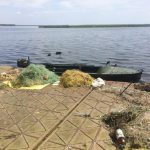 У період з 1 по 30 червня 2019 року рибоохоронними патрульними Київщини було здійснено 11 рейдів на водоймах та ринках області. В результаті проведених заходів спільно з правоохоронними органами та громадськими інспекторами рибоохорони було виявлено 218 порушень природоохоронного законодавства. З них 44 правопорушення є грубими за ч. 4 ст. 85 КУпАП. Також складено 115 протоколів за ч. 3 ст. 85 КУпАП (порушення правил рибальства), дев’ять - за ч. 1 ст. 88-1 КУпАП (порушення порядку придбання, збуту та розповсюдження об’єктів тваринного світу), по чотири - за ст. 85-1 КУпАП (виготовлення, збут, зберігання чи реклама заборонених знарядь лову) та ст. 188-5 КУпАП (невиконання законних розпоряджень чи приписів), а також за ч. 5 ст. 85 КУпАП (порушення правил здійснення інших видів спеціального використання об’єктів тваринного світу) та ст. 90 КУпАП (вилов червонокнижної риби). Крім цього, оформлено 40 актів виявлення безгосподарського майна, згідно яких вилучено 104 од. знарядь лову. «Протягом даного періоду на порушників накладено штрафів у розмірі 50 813 грн. Сума завданих збитків склала 75 070 грн. В ході проведених заходів інспектори вилучили 315 кг водних біоресурсів. З них 98 кг – на водоймах, 162 кг – за незаконне придбання чи збут та ще 55 кг - за актами безхазяйного майна. А також конфіскували 56 од. заборонених знарядь лову», - повідомив начальник Київського рибоохоронного патруля Володимир Мухін.