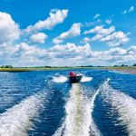 Проблему заростання водяним горіхом Київського водосховища досліджували з квадрокоптерів (фото)