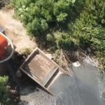 Фекальні відстійники заливають гектари лісу під Києвом і загрожують екологічною катастрофою (відео)
