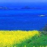 На парадах носитимуть стяги, хто ворожих висоток не брав…