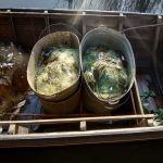 У 96 775 грн оцінили збитки від незаконного промислового вилову риби (+ фото)