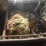 У 96 775 грн оцінили збитки від незаконного промислового вилову риби (+ фото)