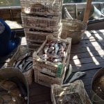 У 96 775 грн оцінили збитки від незаконного промислового вилову риби (+ фото)