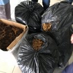 Викрито незаконне виробництво тютюну для кальяну: вилучено фальсифікованої продукції на 13 мільйонів (+ фото)