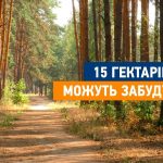 15 гектарів лісу біля Києва опинилися під загрозою забудови (відео)