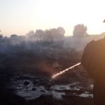 На Київщині масово горять ліси й торфовища: причина – людська недбалість і пересохлі водойми (відео)