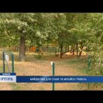 «Золотий» майданчик для собак: мільйон на спорудження, за 2 місяці ще 400 тисяч на капремонт (відео)