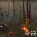 Жінка підпалила ліс заради помсти? Поліція встановила підозрювану в підпалі Чорнобильської зони