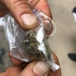 На 70 тисяч вилучили наркоречовин у банди «закладників» (+ фото)