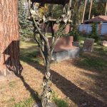 Фундук – білочкам! У Ворзелі облаштували незвичайну годівничку (+ фото)