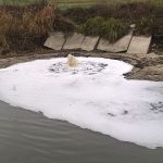 Фекальний «гейзер» з Білгородки наповнює Ірпінь-річку, яка впадає в Дніпро, що тече в Чорне море (+ фото)