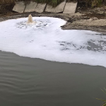 Фекальний «гейзер» з Білгородки наповнює Ірпінь-річку, яка впадає в Дніпро, що тече в Чорне море (+ фото)