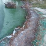 Озеро під Києвом набуло неприроднього кольору: підозра на забруднення отрутохімікатами