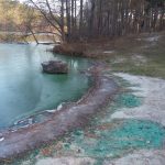 Озеро під Києвом набуло неприроднього кольору: підозра на забруднення отрутохімікатами