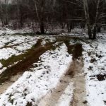 Під Києвом нечистоти регулярно зливають у лісосмугу (+ фото)