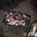 Браконьєри проти рибінспекторів: переслідування, обливання бензином й погроза підпалу