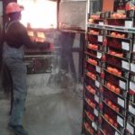 В Україну завезли томати з Туреччини, заражені карантинною міллю