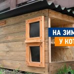Для безпритульних котів облаштовують житло на зиму (відео)