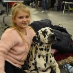 У Києві пройшла виставка собак: 5 тисяч учасників, понад 220 порід із 17 країн (+ фото)