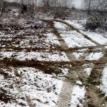 Під Києвом нечистоти регулярно зливають у лісосмугу (+ фото)