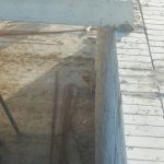 На восьмому поверсі новобудови... спіймали лисицю (+ фото)