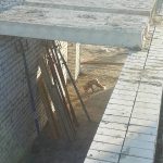 На восьмому поверсі новобудови... спіймали лисицю (+ фото)