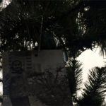 Уперше за 33 роки встановлено ялинку на головній площі Прип’яті (+ фото)