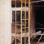 Кримінальне провадження за жорстоке поводження людей відносно… тигрів (+ фото)