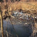 Річку Нивку нищівно забруднюють сміттям (+ фото)