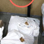 Контрабанда поштою: 50 кг українського бурштину спробували відправити до Китаю