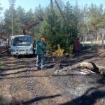 Через підпали сухостою населені пункти Київщини залишаються без електрики (+ фото)