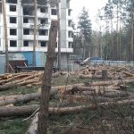 Під забудову без дозволу зрізали чергові 40 дерев: лісоруби пообіцяти «випиляти весь Ірпінь» (+ відео)
