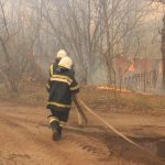 353 вогнеборці та 89 одиниць техніки гасять масштабну пожежу в зоні відчуження ЧАЕС