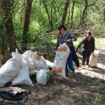 283 мішки сміття – новий ірпінський рекорд прибирання довкілля