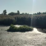 Осуваються береги – Ірпінь-річка може змінити русло (+ фото)