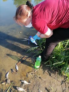 На Земснаряді Київський рибоохоронний патруль виявив замор риби