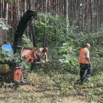 У Гостомелі на семи гектарах, відстояних від забудови, облаштують парк