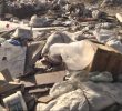 На сміттєзвалищі в Горенці токсичних і радіоактивних відходів не виявили, але все одно збираються його закрити (+ відео)