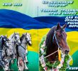 На Київському іподромі завтра пройдуть змагання орловських рисаків (афіша)
