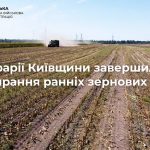 Київщина завершила збір ранніх зернових: статистика врожаю-2022